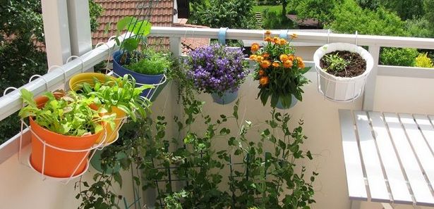Ideen für balkonbepflanzung
