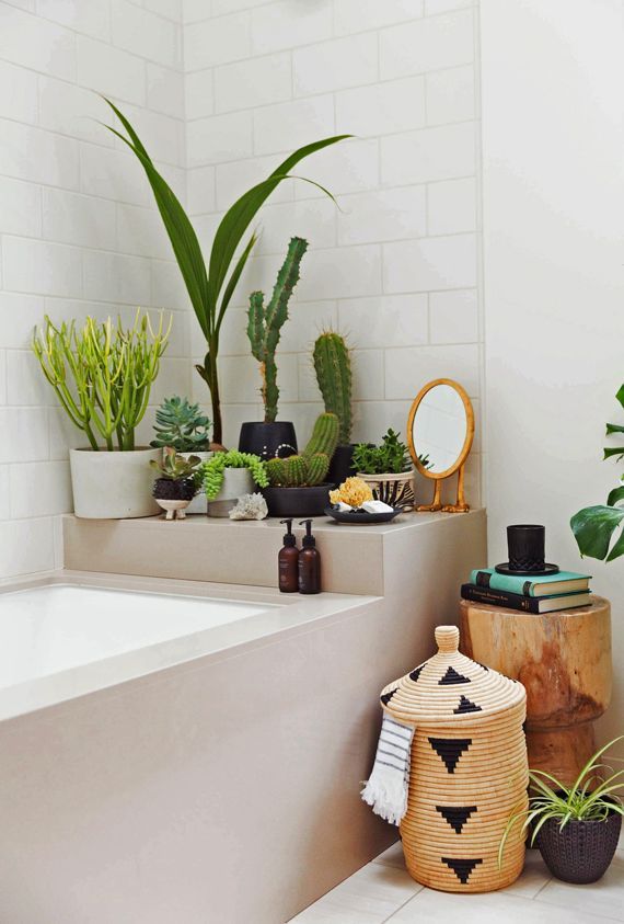 Badezimmer deko pflanzen