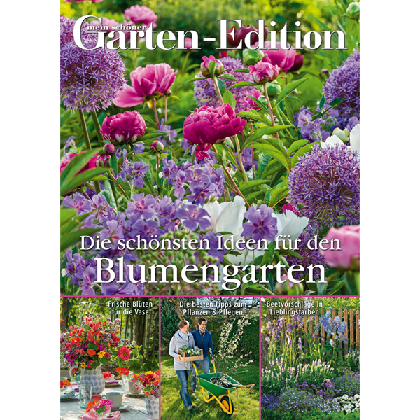 Garten ideen 2016