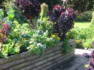 Garten im märz