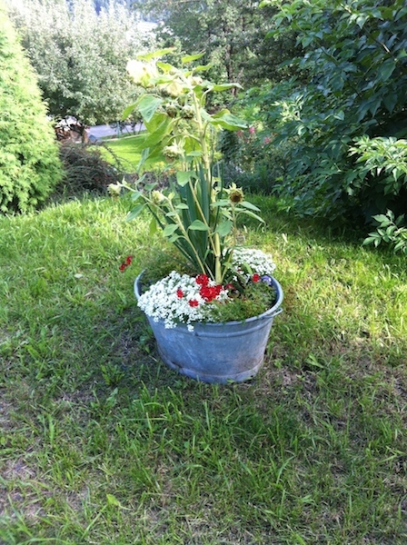 Garten recycling ideen