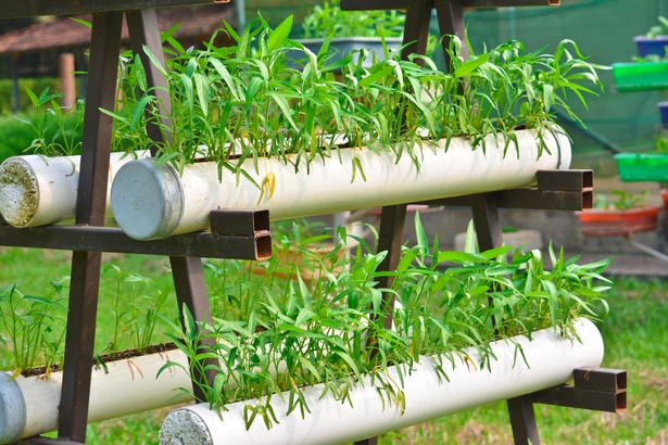 Kleiner gemüsegarten anlegen