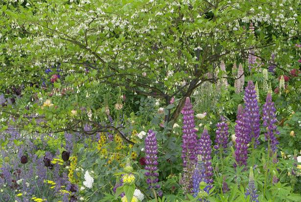 Moderne blumenbeete