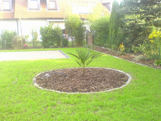 Moderne gartengestaltung vorgarten