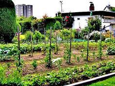 Schrebergarten gestaltungsideen