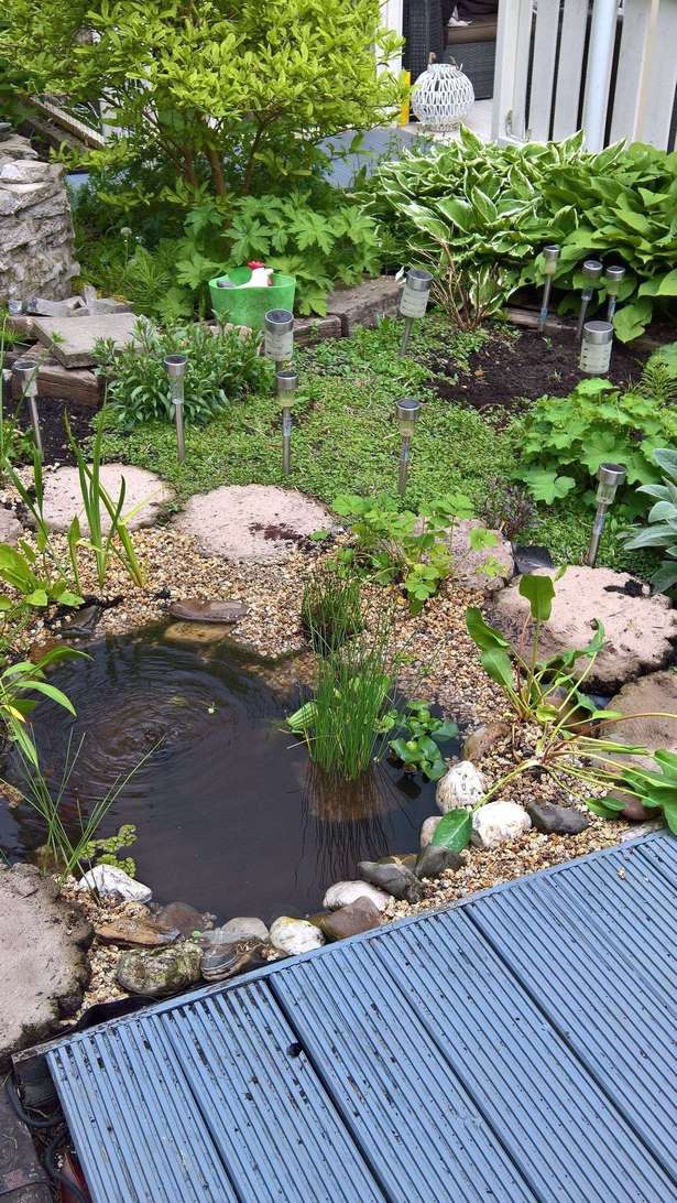 Teich ideen garten