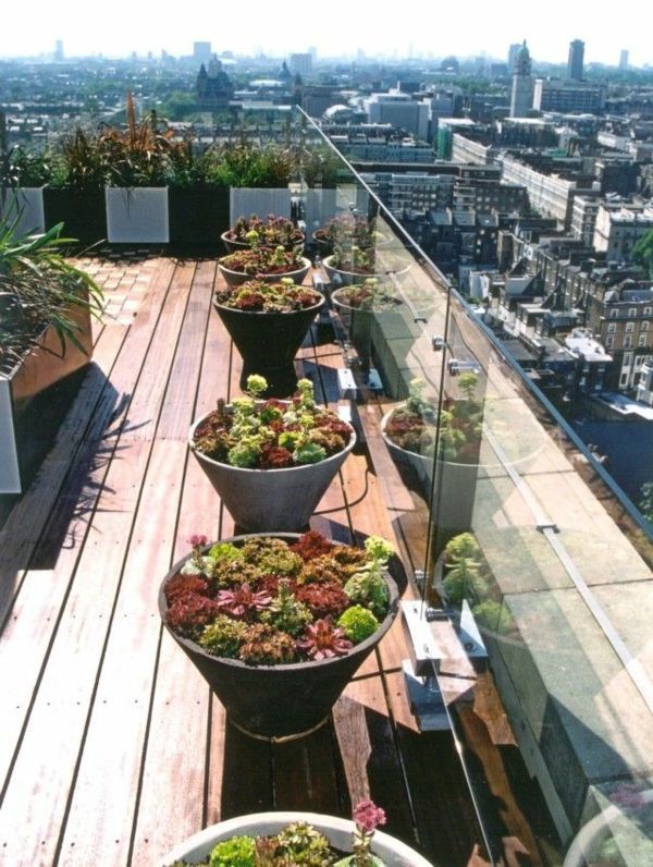Balkon gestaltungsideen pflanzen