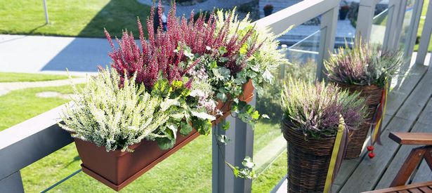 Balkon im herbst gestalten