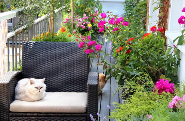 Balkon mit blumen gestalten