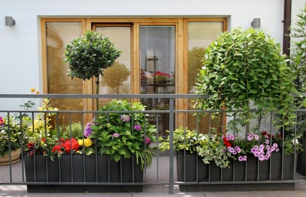 Balkon mit blumen gestalten