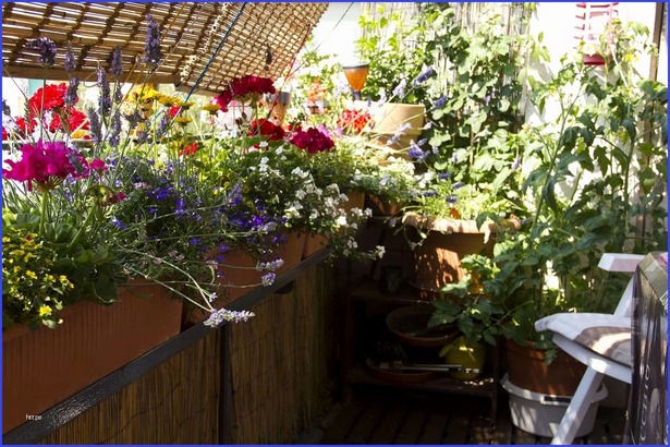 Balkon mit blumen gestalten