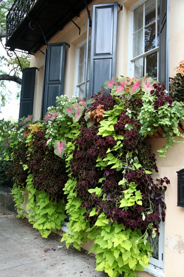 Balkon mit blumen gestalten