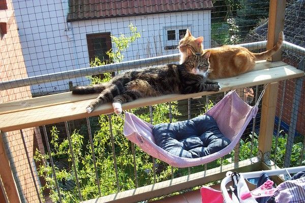Katzen balkon ideen