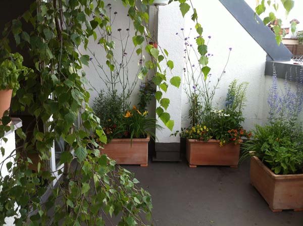 Kleiner balkon ideen pflanzen