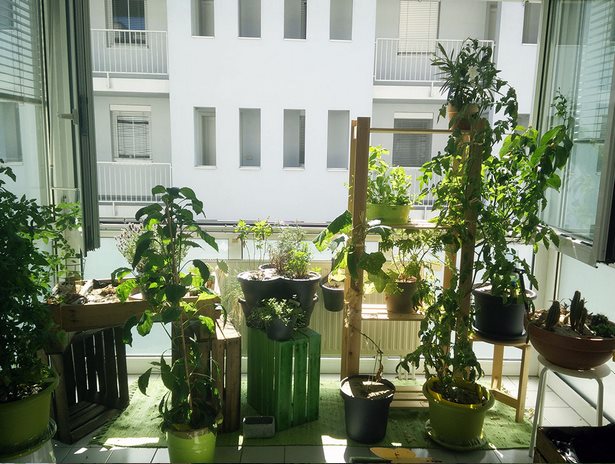 Pflanzen deko balkon