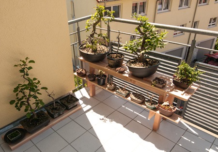 Regal pflanzen balkon