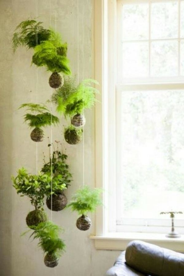 Pflanzen ideen wohnzimmer