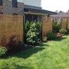 Gartengestaltung modern sichtschutz